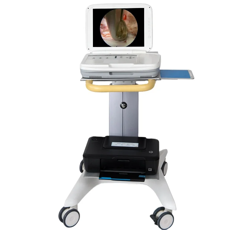 Medical Lab Images - Système d'endoscopie portable intégré Full HD