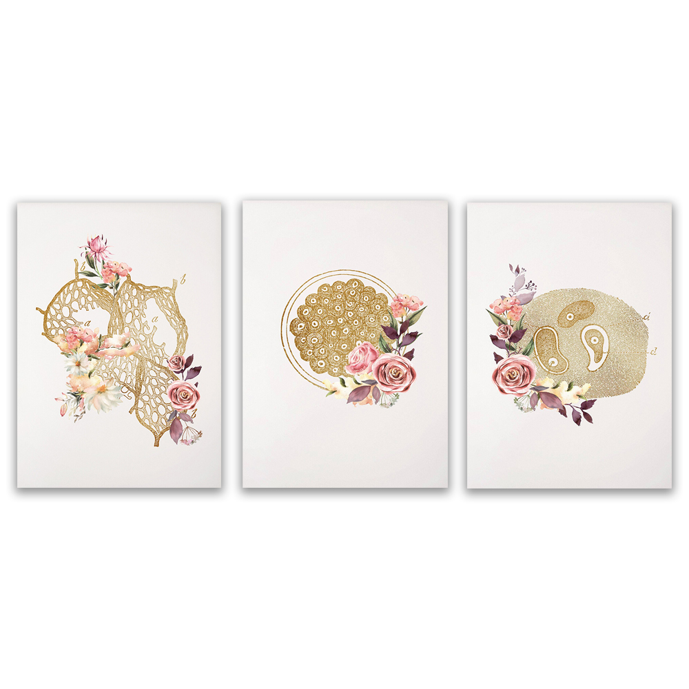 Medical Lab Technician - Décoration de bureau pour technicien de